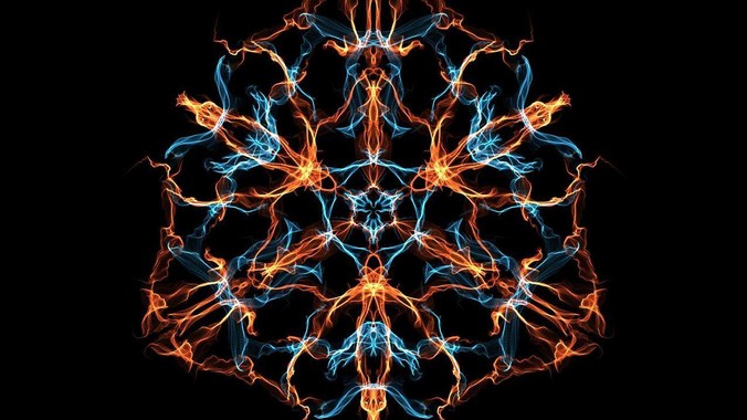 为什么年轻人不要养龟？